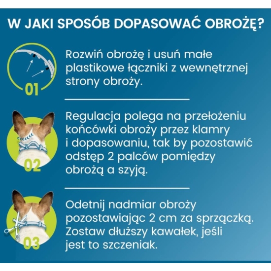 BAYER Foresto Obroża na pchły i kleszcze dla psa powyżej 8kg 70cm